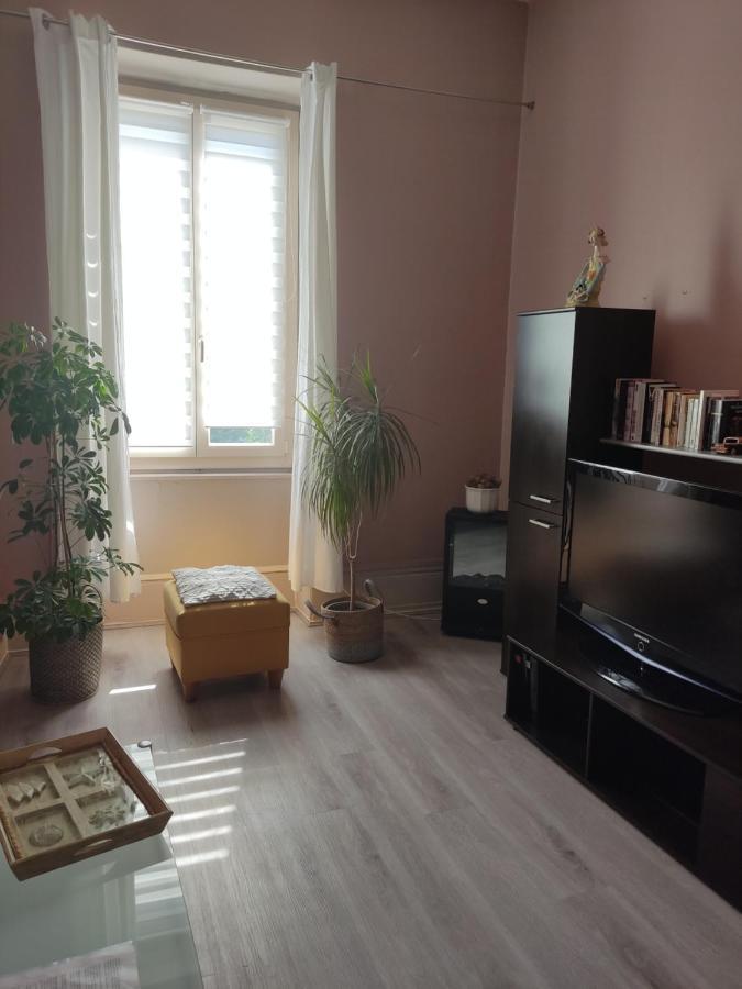 Gite Chanay 80 M2 Tournus 2 Chambres Экстерьер фото